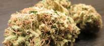 Arizona marijuana reviews