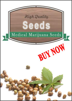 Get Medical Marijuana Seeds