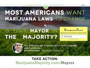 Marijuana Majority