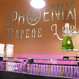 Phoenix Dispensary