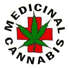 Prop-203-MMJ-Patient-Looking-To-Be-A-Caregiver