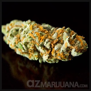 AK47 marijuana strain picture