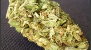 LA Confidential Marijuana Strain