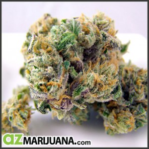 Phoenix Marijuana