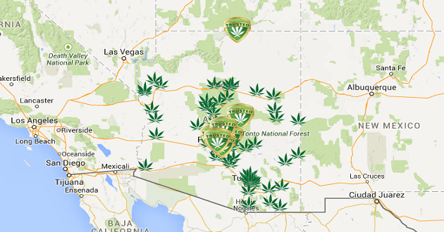 Arizona Dispensary Marijuana