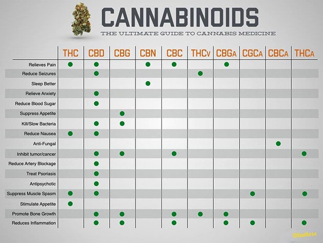 A Guide To Cannabinoids