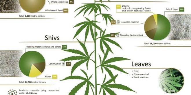 The Value of Hemp