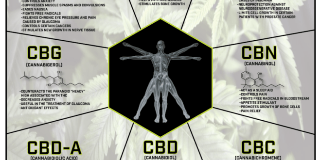 Cannabinoids Poster By Desert Valley Testing