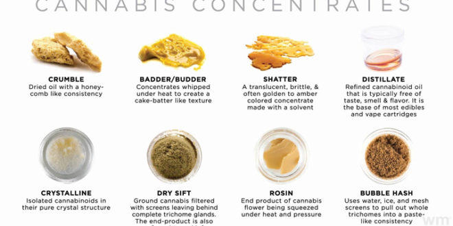 The Cannabis Concentrates Guide