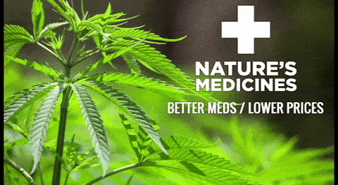 Natures Medicines Dispensary
