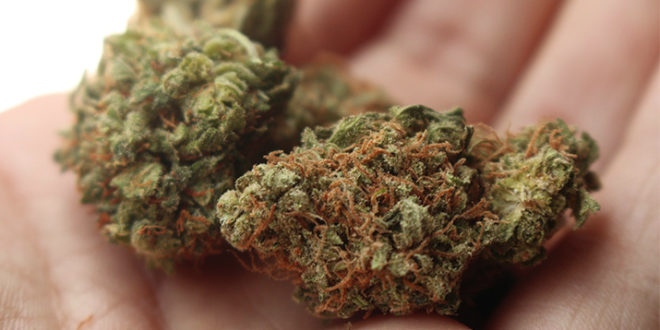 Luxembourg Set to Be First European Country to Legalize Marijuana