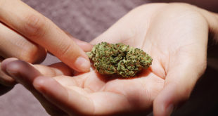Arizona Cannabis Laws