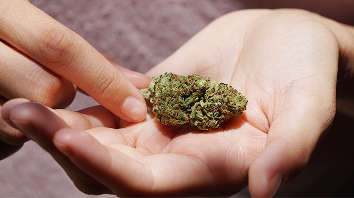 Arizona Cannabis Laws