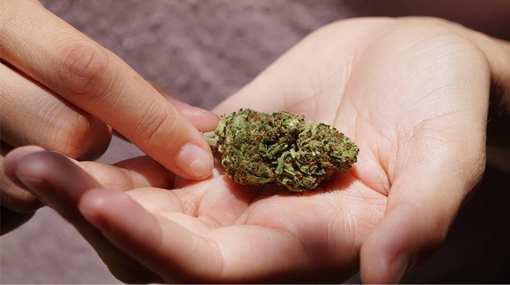Arizona Marijuana Legalized Sales