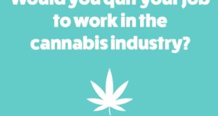 Cannabis Work