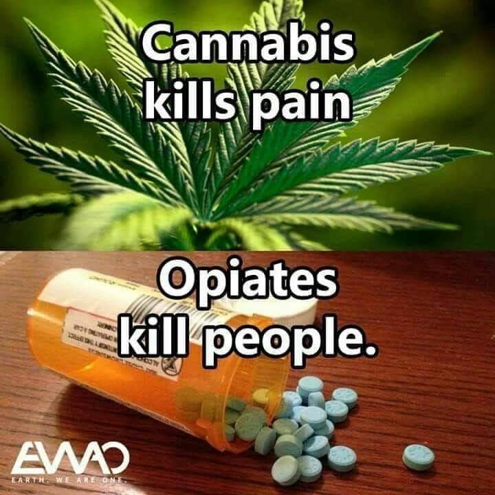 Marijuana Meme