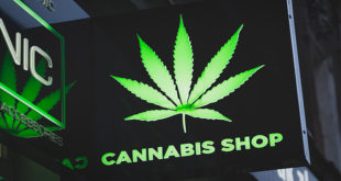 Cannabis Shops