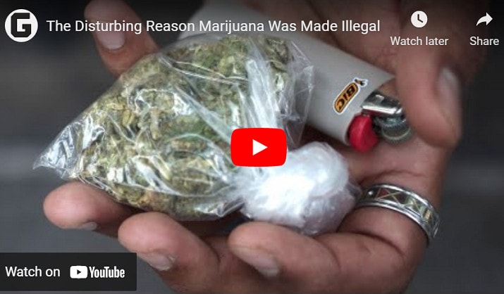 The Disturbing Reason Marijuana Was Made Illegal