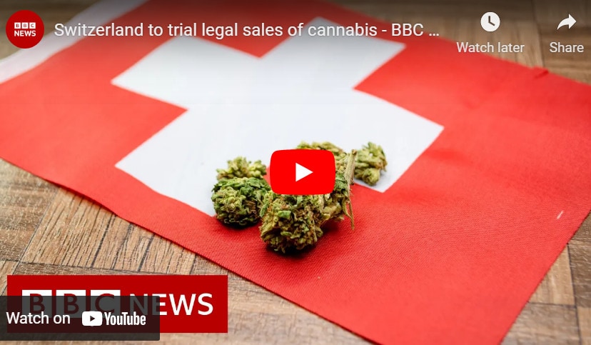 Switzerland To Test Legal Sales Of Cannabis   F 