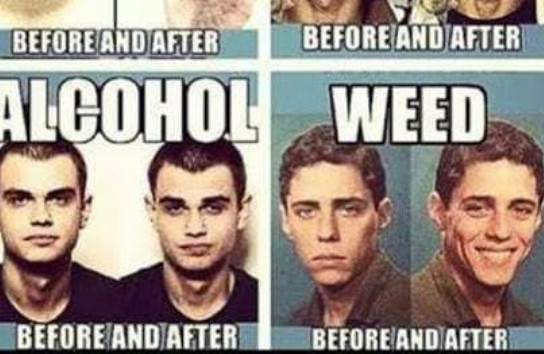 Marijuana Meme of the Day