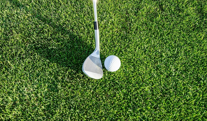 Phoenix Open Golf