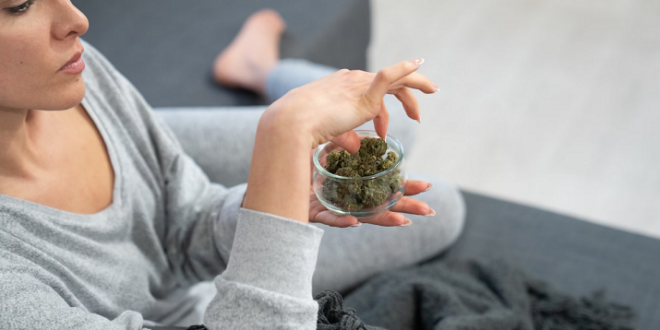 Alcohol Sales See Historic Decline While Cannabis Sales Rise