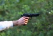 Gun