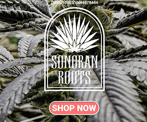 Sonoran Roots