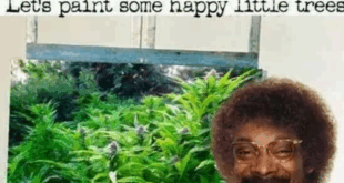 EEEEE