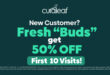 Curaleaf Deals