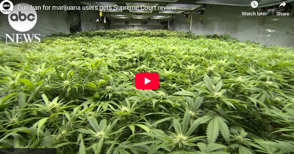 Gun ban for marijuana users gets Supreme Court review