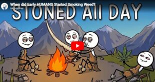 asdf