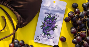 Abstrakt