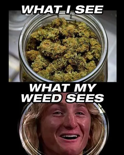 asdf