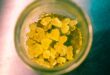 Concentrate