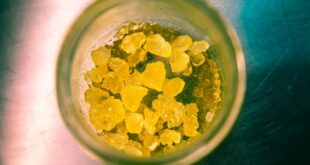 Concentrate