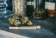 Weed