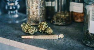 Weed