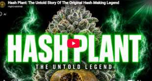 Hash