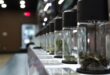 Dispensary